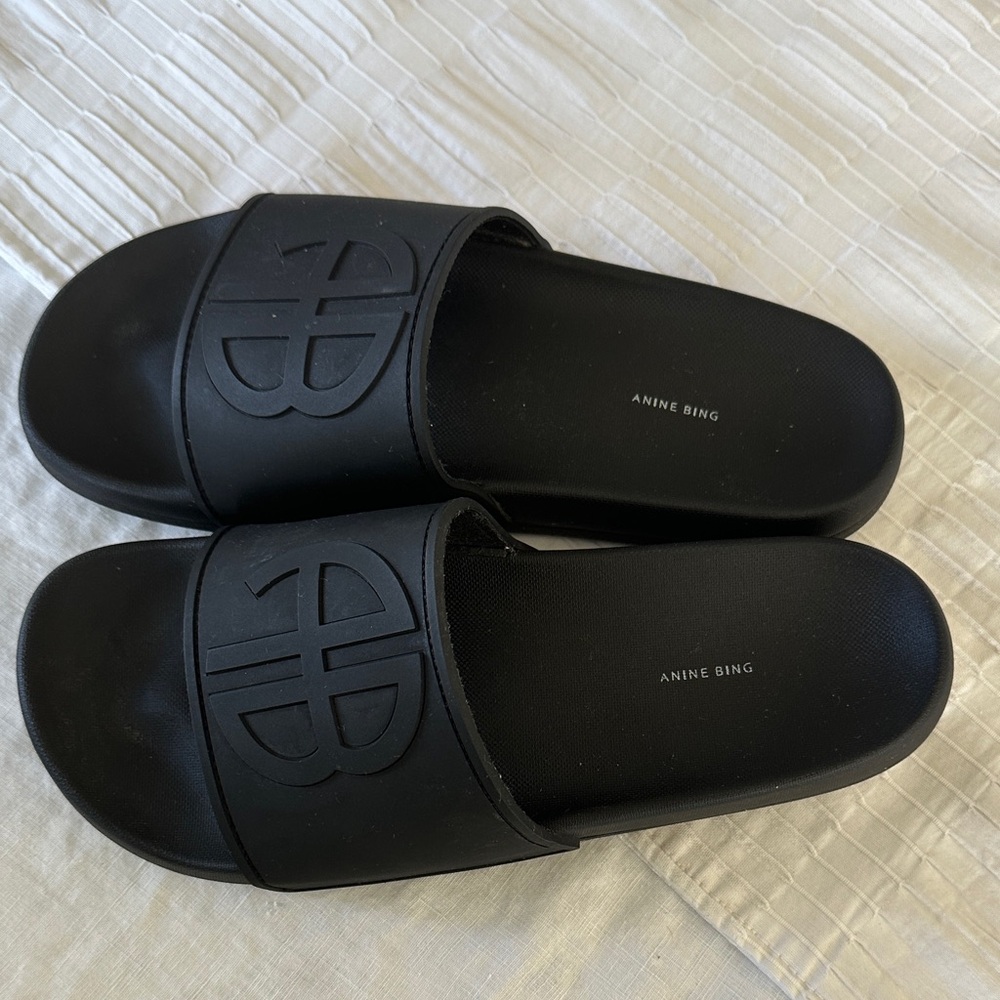 Anine Bing Isla Slide Sandals